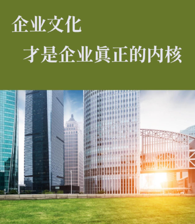 数字化转型背景下企业信息化整体解决方案设计思路